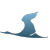JS-v-23864